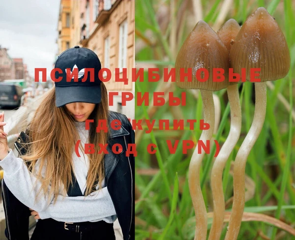 Альфа ПВП Нефтегорск