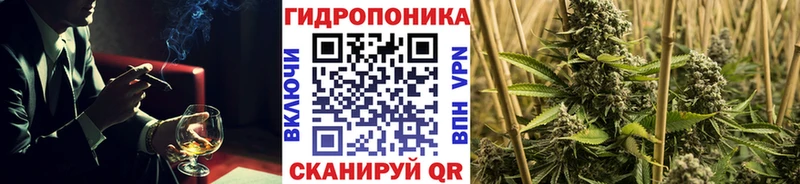 Марихуана Amnesia  Мураши 